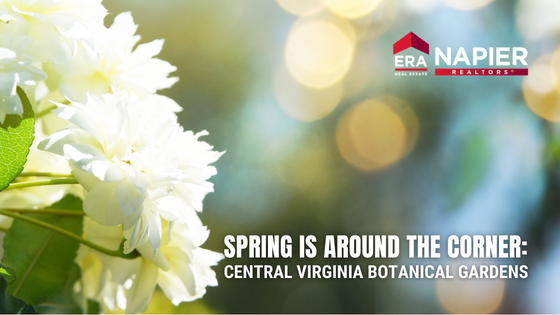 Richmond Spring